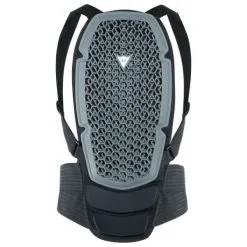 Dainese Pro Armor Back Protector G2